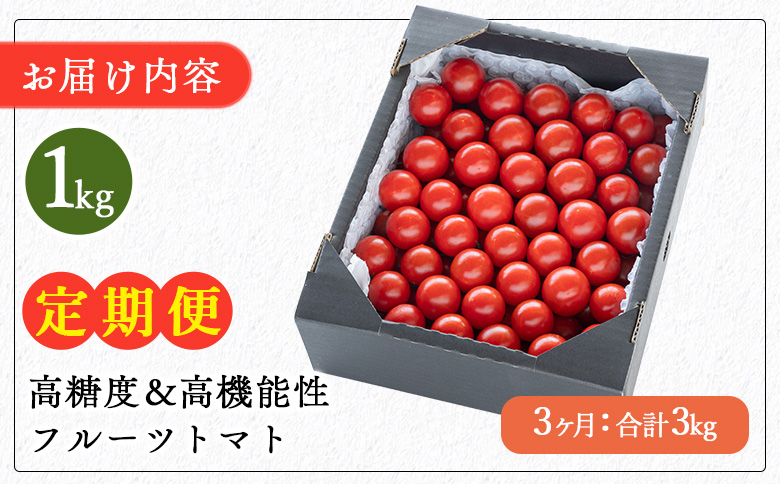 高糖度＆高機能性 フルーツトマト 1kg 3カ月定期便 合計3kg - 甘美の舞 期間限定 季節限定 野菜 やさい フルティカ 完熟 ミニトマト プチ 新鮮 お弁当 贈り物 サラダ 産地直送 高知県 