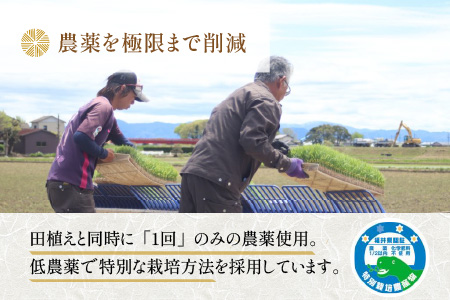 【令和5年産】特別栽培米 あきさかり 5kg 無洗米 低農薬 《こだわり極上無洗米》 / 福井県 あわら 北陸 米 お米 人気