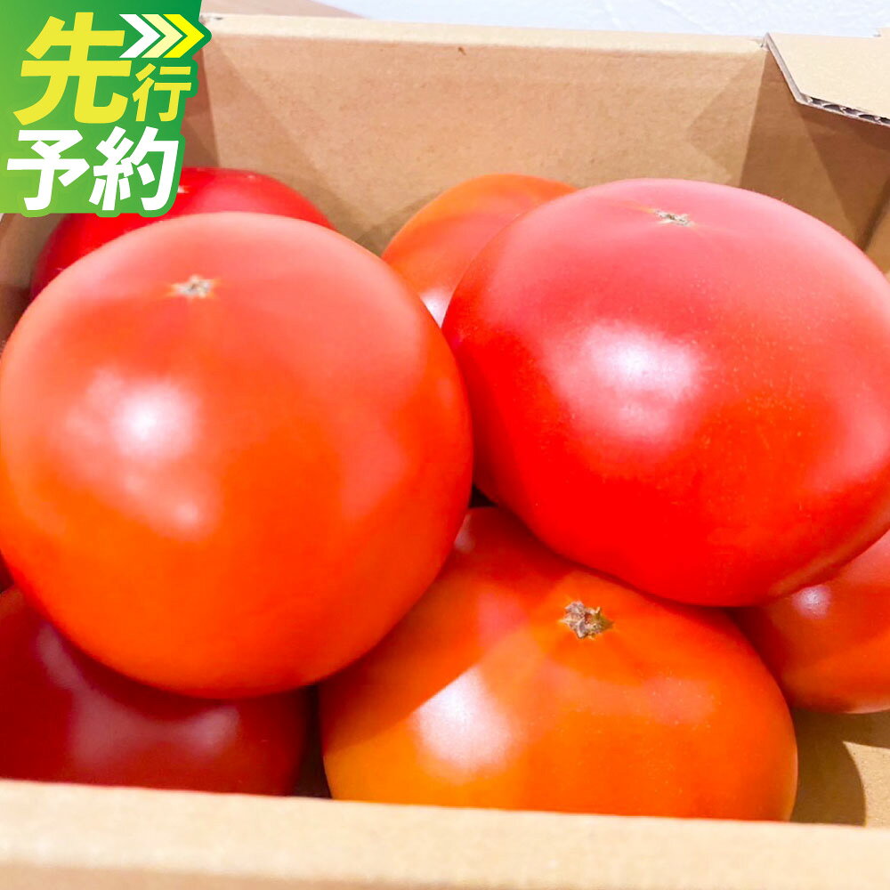 【ふるさと納税】まるで太陽の恵みをそのまま閉じ込めたような真っ赤な 大玉トマト約3.5kg（熊本県産）トマト とまと 3.5kg 野菜 やさい 常温 熊本県 熊本市 送料無料【2027年1月下旬～5月下旬迄発送予定】