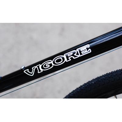 ふるさと納税 京都市 【高島屋選定品】【VIGORE】山と旅の自転車プラスGRX600(1×11速) |  | 01