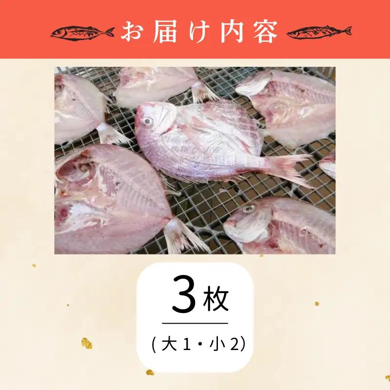 干物 3枚 鳴門鯛 干物セット
