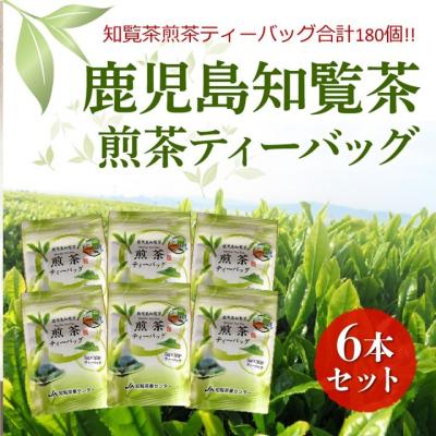 ふるさと納税 南九州市 鹿児島知覧茶煎茶ティーバッグ6本セット