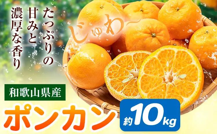 ポンカン 和歌山県産 ポンカン 約10kg