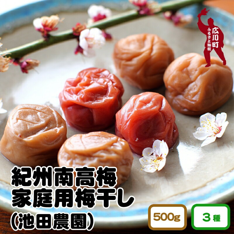 【ふるさと納税】家庭用 梅干し 500g / 紀州南高梅 なんこう梅 つぶれ梅 やぶれ梅 家庭用 わけあり 訳あり 南高梅 うめ 梅【ゆうパケット便でポスト投函】 //plum //best