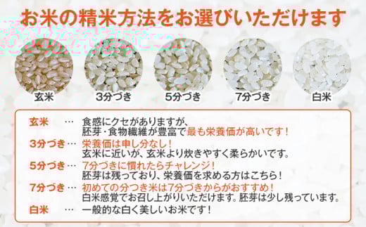 【令和6年産】 精米方法が選べる 福岡県 大木町産 ひのひかり 10kg　BC-S0001　BC01-1
