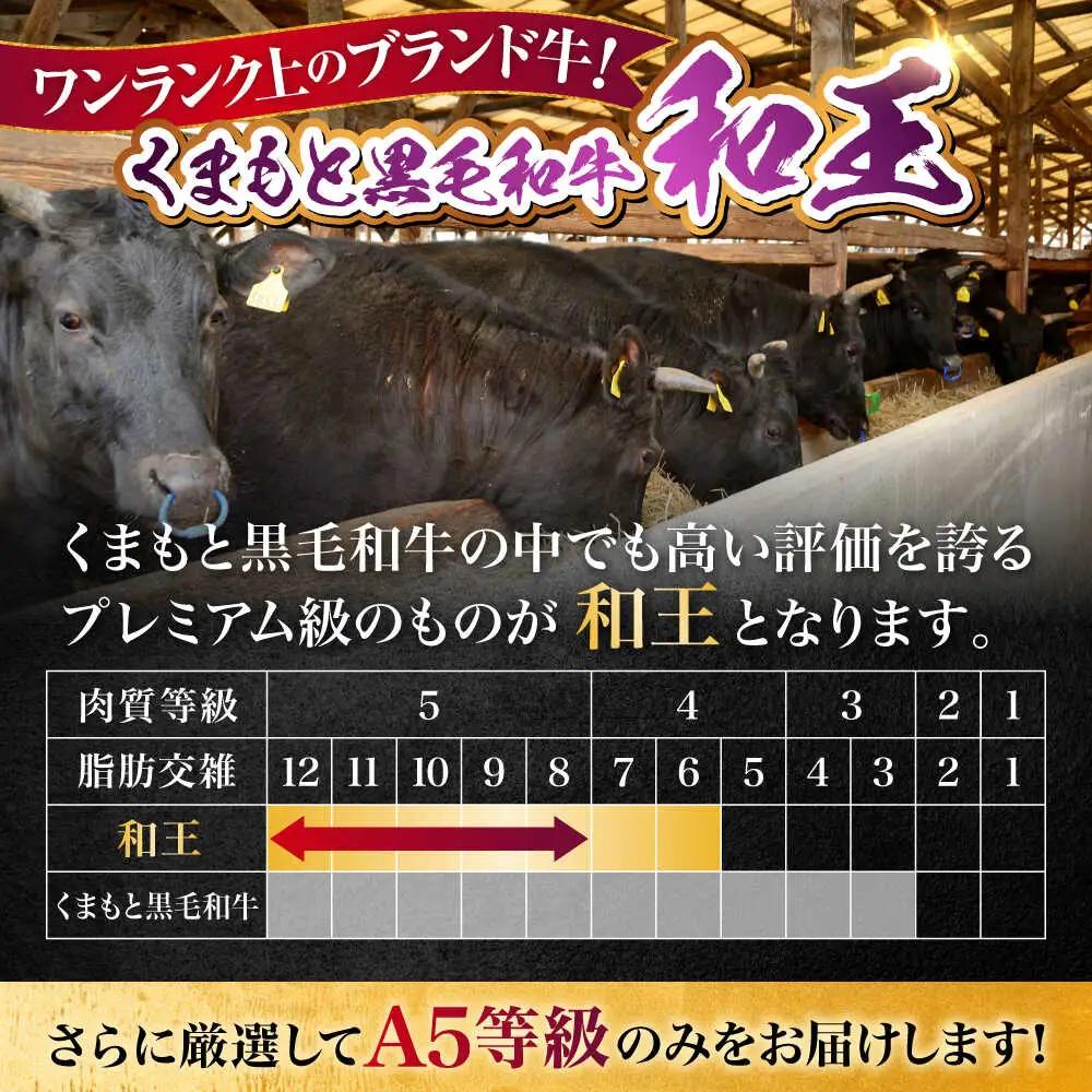 【全12回定期便】熊本県産 A5等級 黒毛和牛 和王 ウデ・モモ 焼肉用 約400g 計約4.8kg 焼肉[AYCH022]