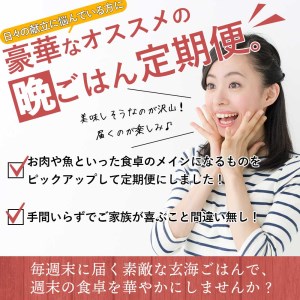 人気のおかずを毎週お届け！便利な晩ごはん定期便【全6回配送】