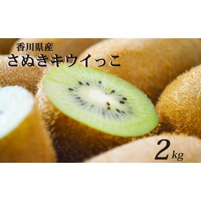 ふるさと納税 丸亀市 先行受付 さぬきキウイっこ 約2kg キウイフルーツ 香川県産 丸亀市 発送11月上旬から