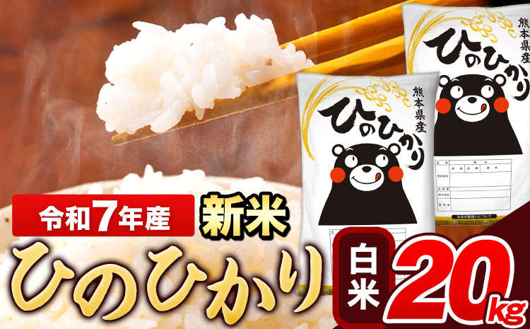 新米 米 令和7年産 ひのひかり 白米 20kg 《10月中旬-12月末頃出荷》 5kg×4袋 熊本県産 米 精米 ひの 長洲町