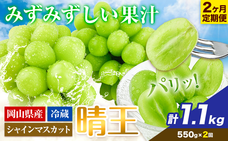 ぶどう 2ヶ月 定期便 [2025年先行予約] シャインマスカット 晴王 約550g 岡山県産《9月上旬-10月末頃出荷(土日祝除く)》 ハレノフルーツ マスカット 送料無料 岡山県 浅口市 フルーツ 果物 贈り物 ギフト 国産 岡山県産 くだもの【配送不可地域あり】（北海道・沖縄・離島）
