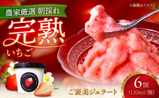 いちご農家が作る！完熟いちごのご褒美ジェラート 6個セット 《壱岐市》【蒼花】 アイス お菓子 いちご イチゴ 苺 ストロベリー ジェラート ソルベ いちごアイス 苺アイス ストロベリーアイス [JEO007]