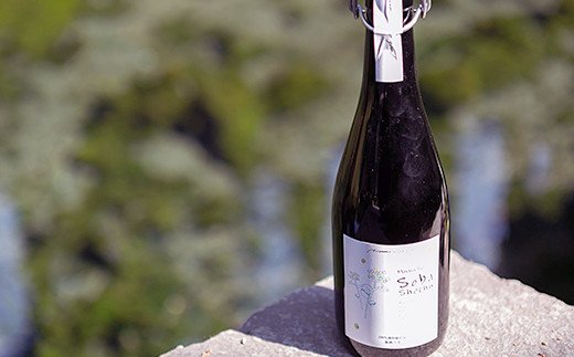 南阿蘇 プレミアム蕎麦焼酎