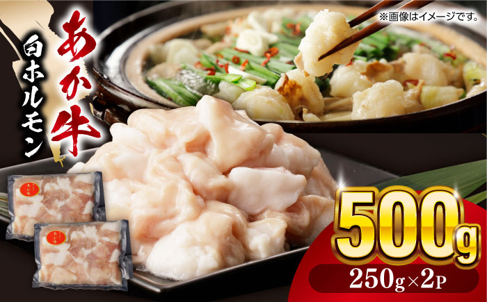 熊本県産 あか牛 白 ホルモン 計500g (250g×2P) 熊本 赤牛 褐牛 あかうし 褐毛和種 肥後 冷凍 国産 牛肉【五右衛門フーズ】[YBZ010]
