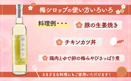 大河原町観光物産協会 特産品Cセット ドレッシング 調味料 ポン酢 柚子 梅 シロップ 果実 詰め合わせ 