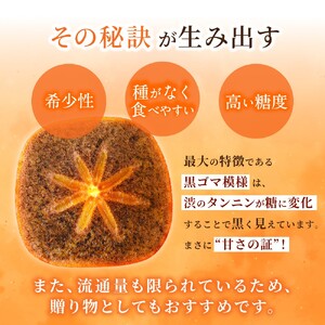 先行予約！  紀の川柿 （果実の中身が黒い！黒蜜柿）希少栽培！ 秀品６個～９個  こだわり農家厳選！【※2026年10月上旬から11月上旬頃発送】/ 和歌山県 かつらぎ町 カキ 柿 太秋柿 紀ノ川柿 