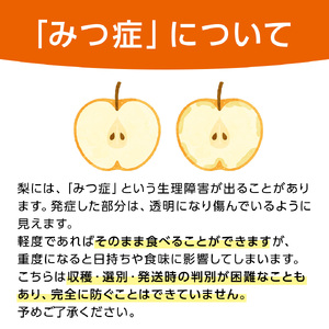 にっこり梨 約3kg 4玉～6玉 (茨城県共通返礼品:城里町) [CO001sa]