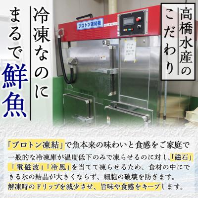 ふるさと納税 佐伯市 ギフト用品質!九州産ひもの真さばフィレ干物(計10枚・5P) |  | 02