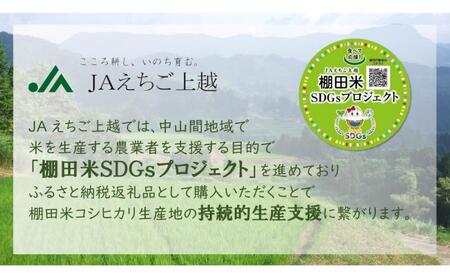 【8月中旬配送】令和7年産  えちご上越米 棚田米 コシヒカリ 10kg 10キロ 上越市 精米 米 コメ おすすめ