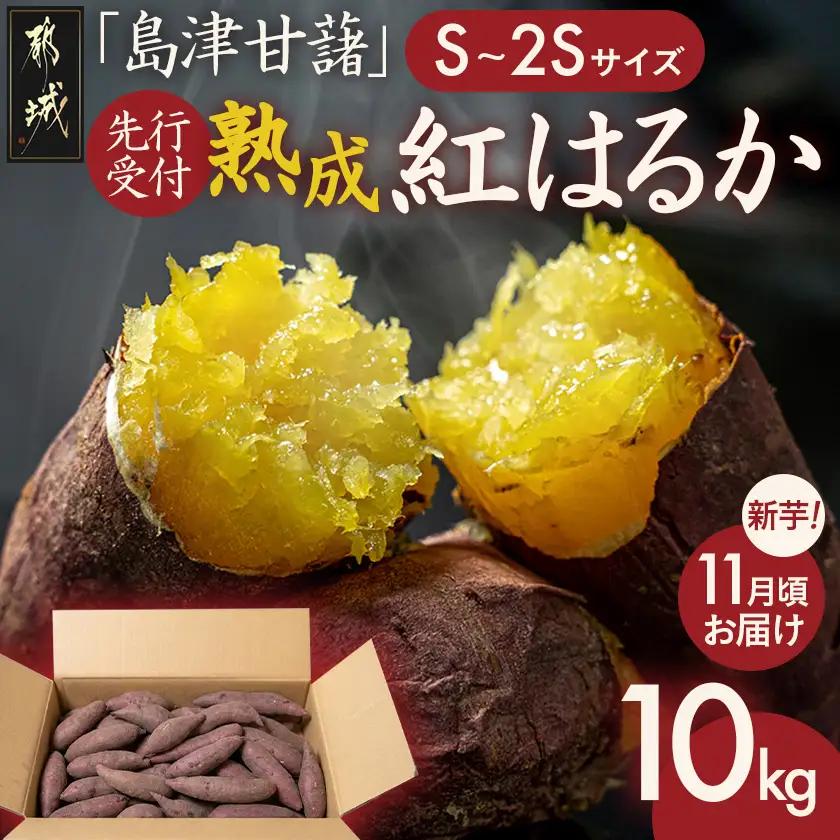 先行受付!【11月お届け】島津甘藷　熟成紅はるか 10kg(S～2S)〔12-A7-001-10kg-m-11〕_(都城市) 島津甘藷 紅はるか サツマイモ 未選別 10kg S～2S