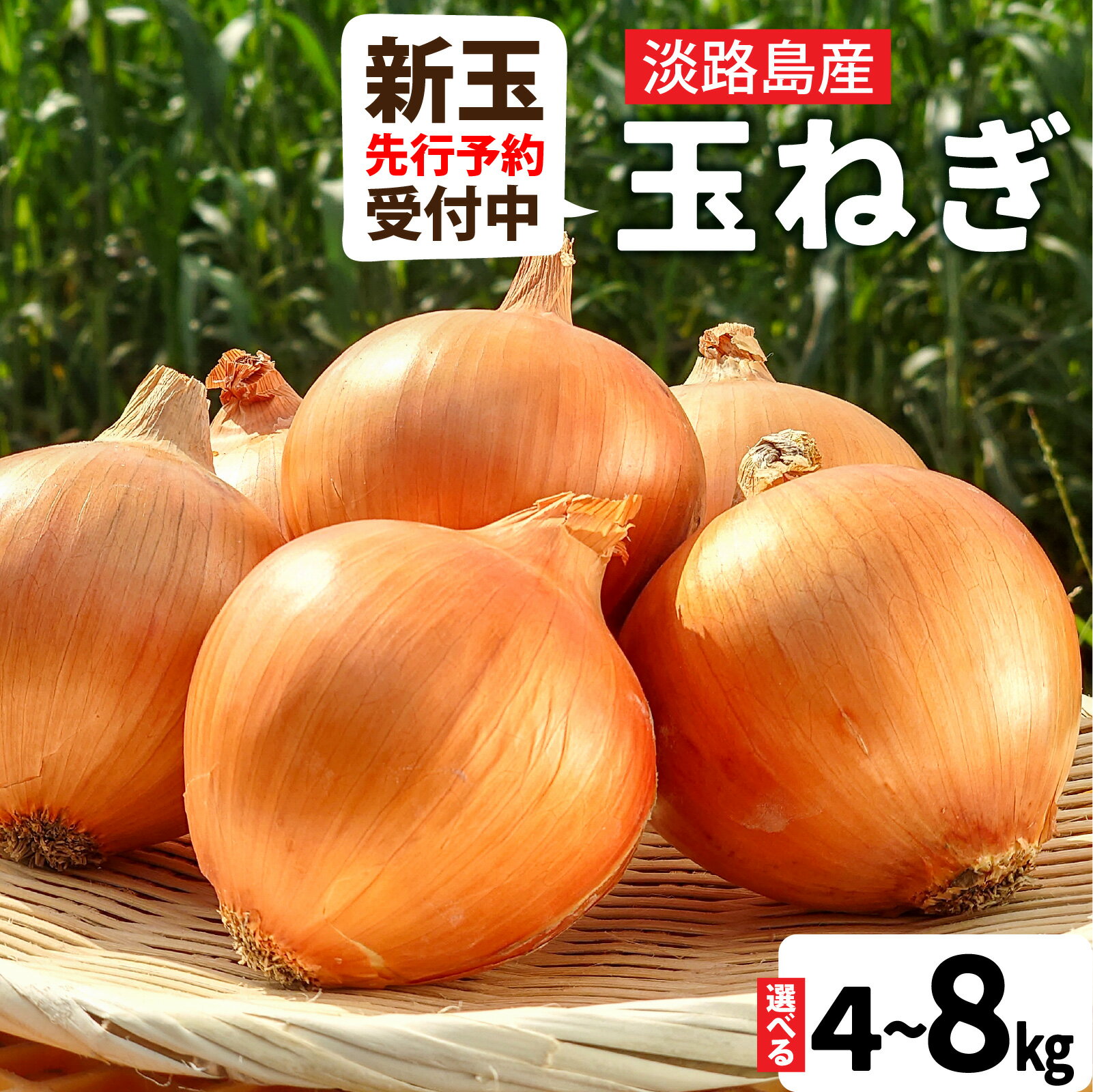 【ふるさと納税】【新玉ねぎ先行予約受付中】淡路島産 フルーツ玉ねぎ 選べる種類容量 【熟成 / 新玉】【4kg / 8kg】サイズ色々 / 淡路 淡路島 あわじ 玉ねぎ タマネギ 玉葱 淡路島産玉ねぎ カレー シチュー バーベキュー 料理 スープ サラダ人気 訳あり 料理 送料無料