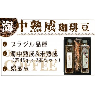 ふるさと納税 陸前高田市 海中 熟成 珈琲豆 飲みくらべ セット 〈焙煎コーヒー豆45g 熟成/熟成なし 各1瓶 〉 コーヒー |  | 01