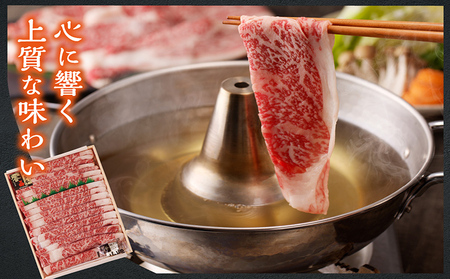 知多牛（響）肩ローススライス　約1.2kg すき焼き しゃぶしゃぶ 鍋 国産牛 牛肉 国産 ロース肉 うす切り肉 すきやき 牛丼 ブランド肉 ブランド牛 知多牛 お肉 グルメ キャンプ アウトドア お