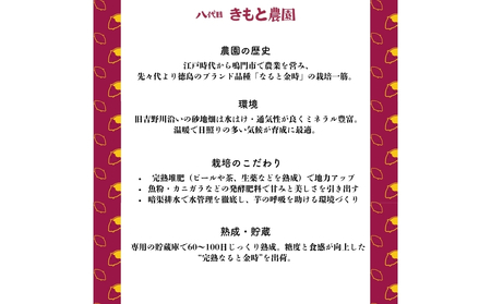 【予約受付中・2026年9月下旬頃より順次発送】【木元農園】八代目の なると金時 約3kg  | 鳴門金時 甘い ホクホク 熟成 産地直送 スイーツ おやつ 焼きいも 天ぷら 干し芋 スイートポテト 