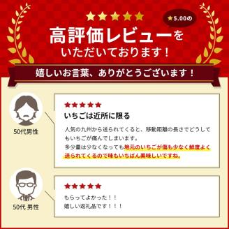 【3月発送】亘理町のいちご もういっこ 250g×4パック ＜オンライン決済限定＞※先行受付中！！	