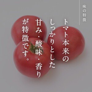 【期間限定】【北海道・離島へ発送不可】日南トマト(登録商標)　約4kg（20～24玉／箱） トマト とまと 鳥取県 日南町