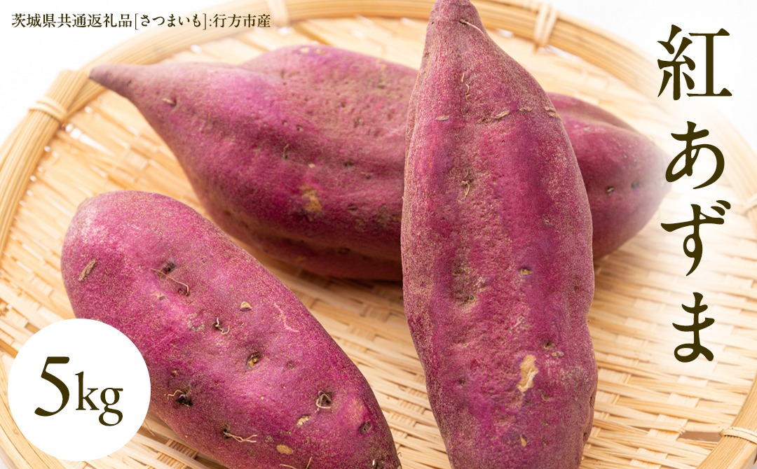 紅あずま 5kg （茨城県共通返礼品 [さつまいも]：行方市産） さつまいも 生芋 芋 いも 野菜 [BI412-NT]