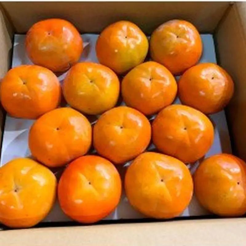 和歌山秋の味覚　富有柿　約4kg　化粧箱入【uot703】