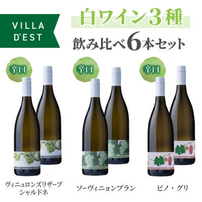 ふるさと納税 東御市 IWC&amp;日本ワインコンクール受賞ワイン!白ワイン 辛口 3種 飲み比べ 6本セット