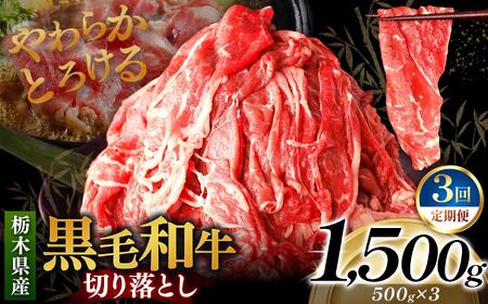 [定期便3回]栃木県産黒毛和牛切り落とし 1500g｜数量限定 黒毛 和牛 牛肉 国産牛 国産 ブランド牛 お肉 切り落とし サシ 霜降り 甘い ステーキ すき焼き しゃぶしゃぶ 焼肉 切落し 上品 アレンジ 美味しい 料理 主婦 とちぎ  栃木県 矢板市