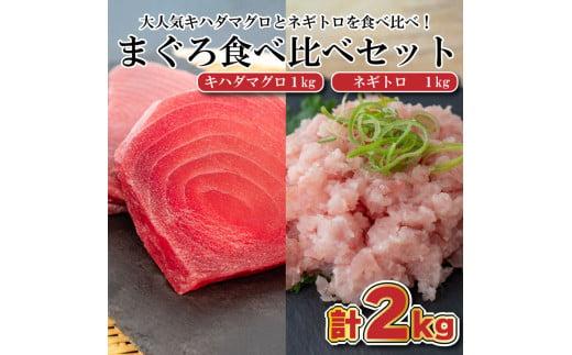 まぐろ 食べ比べ (赤身 ネギトロ) 小分け 真空パック 冷凍 マグロ 鮪 マグロのたたき TY030
