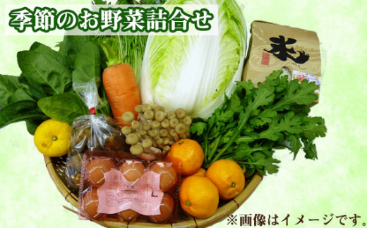 
No.083 季節のお野菜詰め合わせ ／ 季節野菜 詰合せ セット 道の駅 大阪府 特産品
