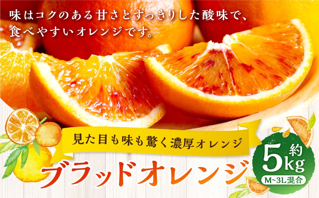 
                  【 見た目も味も驚く濃厚オレンジ 】 ブラッドオレンジ 約5kg オレンジ おれんじ 柑橘 柑橘系 柑橘類 みかん ミカン くだもの 果物 フルーツ 果実 果汁 果肉 国産 愛媛県産 【 2027年2月下旬～4月上旬発送予定 】 ( 1071 )
                