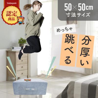 ふるさと納税 館林市 ぽんちゃん トランポリンクッション (パウダーブルー) 50cm×50cm 高反発 室内用