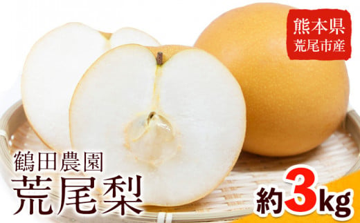 【先行予約】梨 鶴田農園 梨予約 豊水 あきづき 甘太 のいずれかお届け 約3kg 6～9玉 【日付指定不可】 熊本県 荒尾市産 和梨 《8月下旬-9月下旬頃出荷》