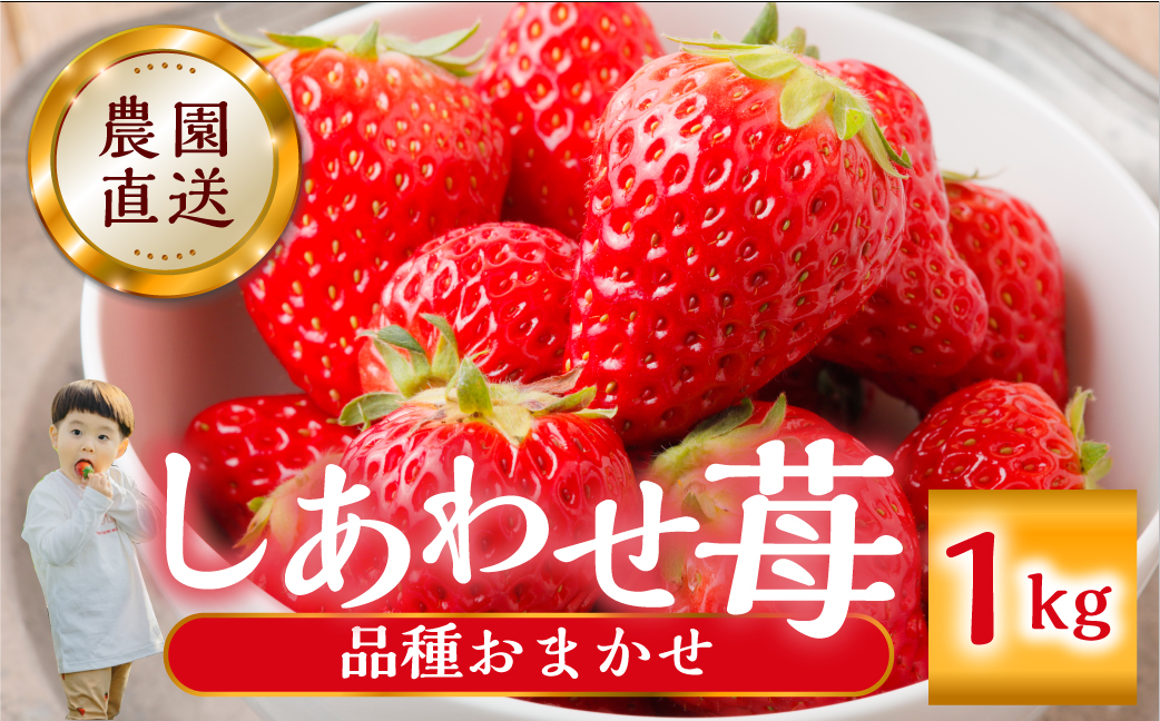 【2027年1月以降発送】 自宅用 品種おまかせ いちご 1kg (250g × 4p) [しあわせ苺] サイズ バラバラ 訳あり 訳アリ 農園直送 フルーツ 果物 苺 イチゴ 子ども 大人 人気 小分け 簡易梱包 家庭用 産地直送 品種おまかせ しあわせ苺  よつぼし かおり野 先行予約 岐阜 期間限定 [mt524] family農園watanabe