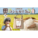 【ふるさと納税】【9月中発送可】無地熨斗 令和6年産 コシヒカリ 白米 5kg×1袋 長野県産 米 精米 お米 ごはん ライス 甘み 農家直送 産直 信州 人気 ギフト 平林農園 送料無料 熨斗 のし 名入れ不可 長野県 大町市 | お米 こめ 白米 食品 人気 おすすめ 送料無料