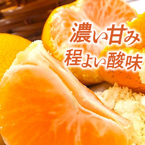 【2026年11月下旬頃から順次発送】興居島みかん 約3kg（L?Sサイズ） みかん 柑橘 興居島 ごごしま ブランド 愛媛県 松山市【SSK018】