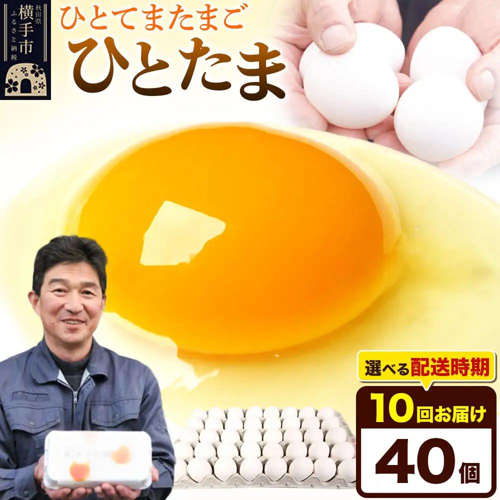 《定期便10ヶ月》ひとたま 40個（業務用）