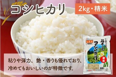 【先行予約】福井のお米 食べ比べセット 2kg × 3種（コシヒカリ・いちほまれ・ハナエチゼン）計6kg 【2026年10月上旬～2027年7月下旬発送予定】 [A-1009]