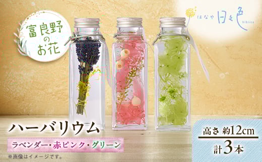 
            ＜ギフト＞富良野のお花 ハーバリウム 3本セット(ラベンダー、赤ピンク・グリーン)【1552142】
          