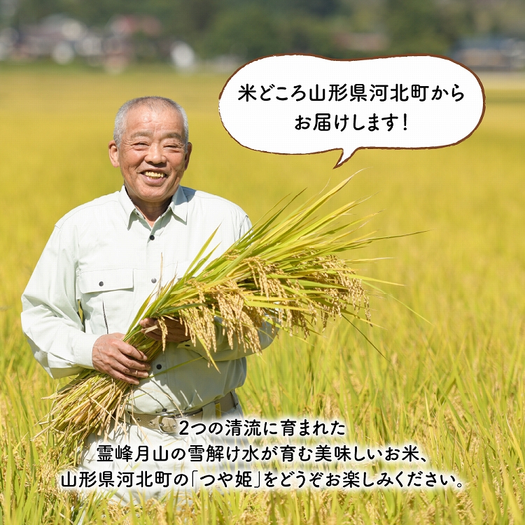 【令和6年産米】※2024年12月中旬スタート※ 特別栽培米 つや姫60kg（10kg×6ヶ月）定期便 山形県産 【JAさがえ西村山】