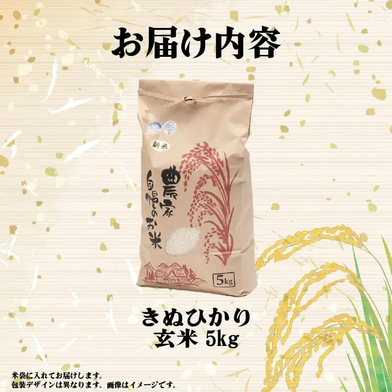 【先行予約】令和8年産 新米 キヌヒカリ 5kg 玄米 米 【KW015】 近江米