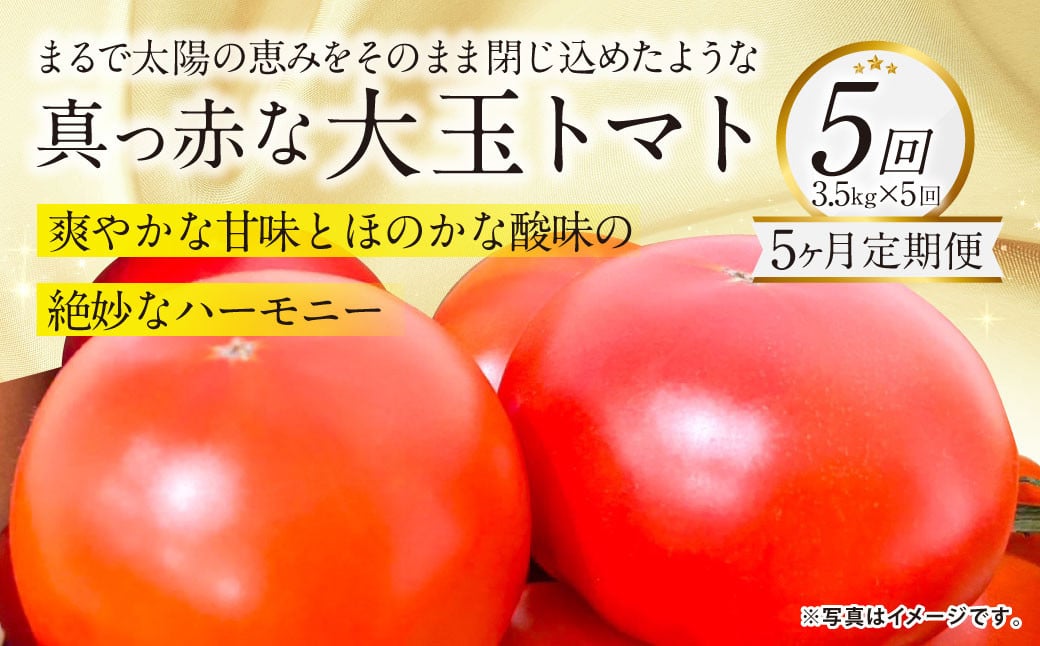 
            【5か月連続定期便】『まるで太陽の恵みをそのまま閉じ込めたような真っ赤な大玉トマト』約3.5kg×5回 計17.5㎏ 特別な定期便 （熊本県産） 【2026年1月下旬発送開始】野菜 やさい トマト とまと 大玉トマト
          