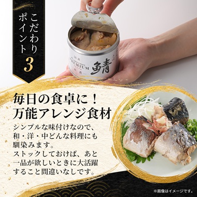 あいこちゃんプレミアム サバ缶水煮　190g×12缶