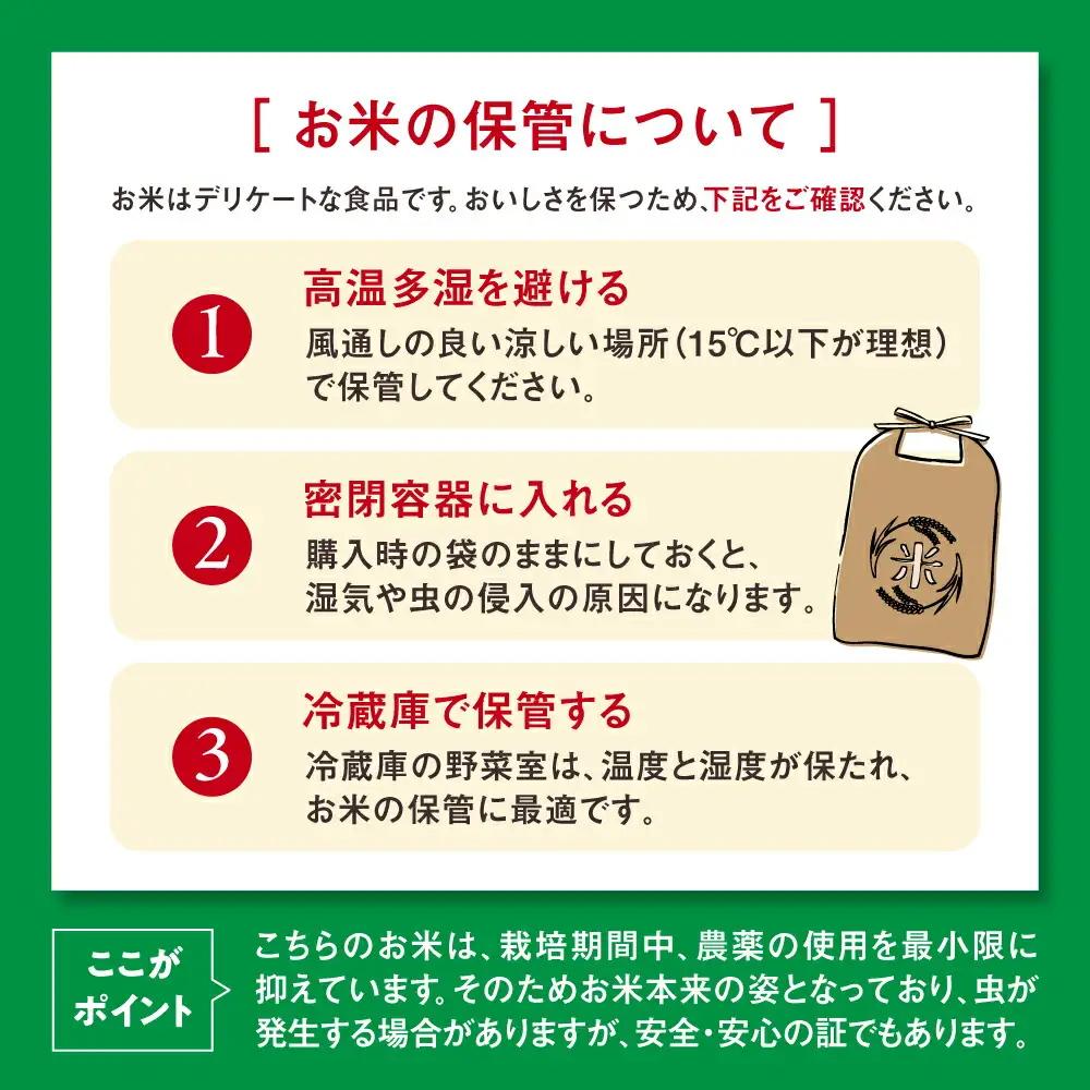  糸島産 ひのひかり 10kg 糸島市 / 三島商店 [AIM004] 米 白米