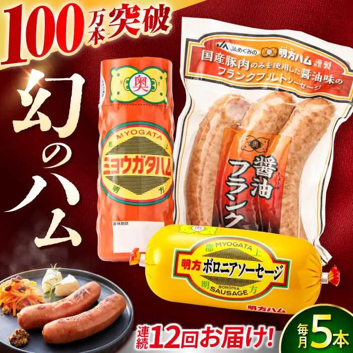 【12回定期便】明方ハム詰め合わせ Ａセット [AVBA005]明方 定期